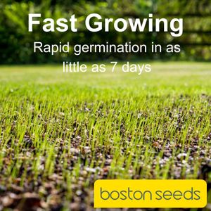 Boston Seeds Fast Growing Grass Seed, Hard Wearing – 10kg Eco Lawn
