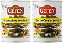 Gefen Mini