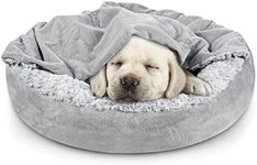 JOEJOY Small Dog Bed Cat Bed with H