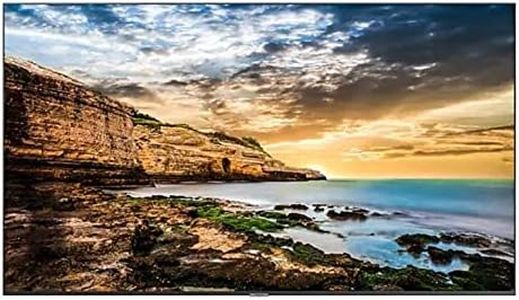 Samsung (QET) 55" LED UHD Pro Display