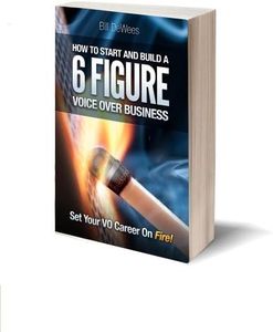 How to Start and Build a SIX FIGURE Voice Over Business (Set Your VO Career on Fire!)