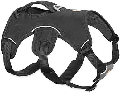 Ruffwear Mehrzweck-Hundegeschirr, Raues Gelände, Arbeitshunde, Kleine Hunderassen, Größenverstellbar, Größe: S, Grau, Web Master Geschirr