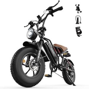 VARUN Electric Bike, 16" x 4.0 Fat Tire E-Bike with 48V 624Wh Battery, Max 100KM Range, LCD Display with 5 PAS, Full Suspension & Indicators, All-terrain Electric Dirt Bike for Adults and Teens