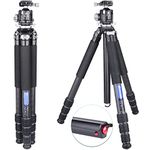 Ultralight Tripod Carbon Fiber Tripod, 67.7in/3.5lb ARTCISE Lightweight Travel Tripod with 36mm Low Profile Ball Head and Two 1/4 in Quick Shoe Plate for DSLR Camera, Video Camcorder, Max Load 44lb