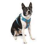 Kurgo Journey Air Dog Harness for Everyday Adventure, Reflective, Active Harness, Dog Running Harness, Dog Hiking Harness, Dog Walking Running, Blue/Grey, Small