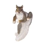 Climbing chip Squirrel Decor (Pack of 1 EA)