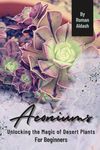 Aeoniums: 