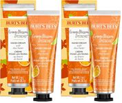 Burt's Bees Hand Cream with Shea Butter, Orange Blossom & Pistachio (Pack of 2)