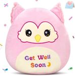 WEWILL Get Well Soon Owl Plush Pill