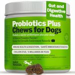 Deley Naturals Probiotics Plus Chews for Dogs - Gut Health Supplement with 5 Billion CFUs, Digestive Enzymes & Probiotics - Pumpkin Flavor Probiotic Chews for Allergies, Diarrhea & Yeast - 90 Chews