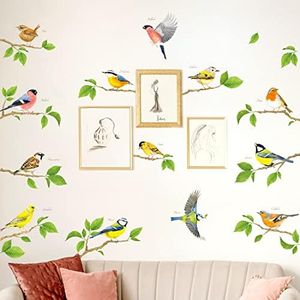 DECOWALL DS-8061 Garden Birds on Short Branches Wall Decals Stickers Room Kids Living Nursery Art décor Removable Peel Stick Tree Flowers Colorful Decoration Vinyl Classroom DIY Floral murals