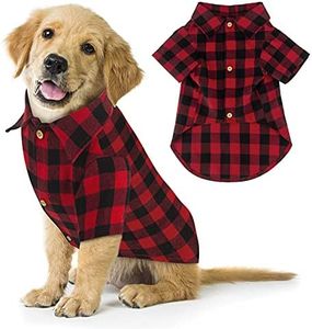 Plaid Dog 