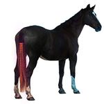 100cm USB Chargeable Horse Tail LED Lights Horse Riding Tails Decoration Luminous Tubes Horses Riding Equestrian Saddle Halters (Color : Red)