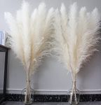 46" inch 10 Stems White Pampas Grass Decor Tall, Dry Flowers for Floor Vases Decor, Natural Dried Flowers for Wedding, Natural Home Decor, Wall Grass, Glam Decor