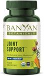 Banyan Botanicals Joint Support – Organic Joint Supplement with Turmeric, Amla & Guggulu Resin – for Healthy Joints & Comfortable Movement* – 90 Tablets – Non-GMO, Sustainably Sourced, Vegan