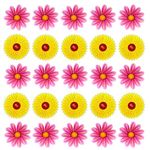 30PCS Windows Fly Catcher for Indoor, Flower Style Window Fly Stickers Traps, Fruit Fly Trap Insect Flies Wasp Pest Killer(Yellow + Pink, 15 Traps Each Color)