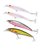 Jerkbait For Bass Fishing