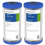 Pentair Pentek R50-BB Big Blue Sediment Water Filter, 10-Inch, Whole House Pleated Polyester Filter Cartridge, 10" x 4.5", 50 Micron, Pack of 2