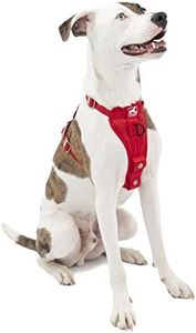 Kurgo Tru-Fit Crash Tested Dog Harness, Enhanced Strength Dog Vest, Dog Safety Harness With Pet Seat Belt Tether for Car, Medium, Red