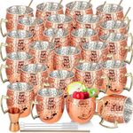 Moscow Mule Mugs Set of 24 Packs Copper Mule Mugs 18oz Bulk Large Hammered Stainless Steel Cups with Handle 1pcs 0.5oz Double Jigger 24pcs Stainless Steel Straws for Cold Chilled Drinks Cocktails