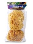 Natural Sea Sponges for Artists - Unbleached 5"-5.5" 2pc Value Pack: Ideal for Painting Decorating Texturing Sponging Marbling Effects Faux Finishes Crafts & More by Lullingworth