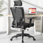 Brick Attic Ergonomic Desk Chair with Height Adjustable Lumbar Support and Headrest, High Back Swivel Office Chair with 2D Armrests and Breathable Mesh for Home Office Black