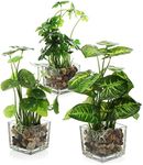 MyGift Set of 3 Artificial Plants, 