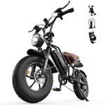 VARUN Electric Bike, 16" x 4.0 Fat Tire E-Bike with 48V 624Wh Battery, Max 100KM Range, LCD Display with 5 PAS, Full Suspension & Indicators, All-terrain Electric Dirt Bike for Adults and Teens