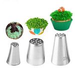 beyonday 3pcs Grass Cream Icing Nozzles Cupcake Practical Cream Piping Nozzle Tips Stainless Steel Pastry Tips Grass Fury Cake Decorating Tool (Silver)