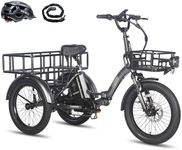 Fafrees F20 Mate E-Bike Tricycle, 2