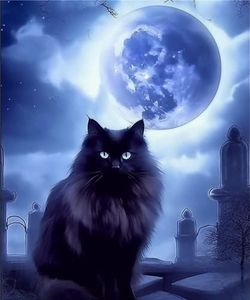 Kaliosy 5D Diamond Art Kits for Adults Moon Night Black Cat by Number Kits, Diamond Painting Art DIY Crystal Craft Full Drill Cross Stitch Decoration 16x20 inch