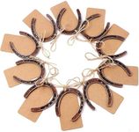 AerWo 20pcs Horse Shoes Favors with Kraft Tag, Metal Mini Horseshoes Decor for Rustic Wedding Decorations Kentucky Derby Party Supplies