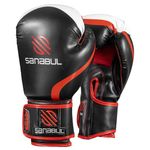 Venum 12 Oz Boxing Gloves