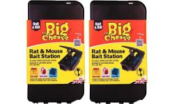 The Big Cheese Rat & Mouse Bait Station, Twin-Pack