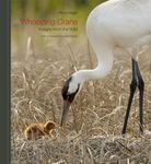 Whooping Crane: Images from the Wild