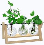 laffeya Plants Propagation Stations, Hydroponic Terrarium Kit- Desktop Glass Flower Planter 3 Glass Vase with Wood Stands for Home Office Decor, Plant Gifts for Plant Lovers (3 Bulb Vase C, Beige)