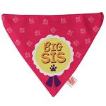 Lana Paws Big Sister Dog Bandana/Dog Scarf (Size M-L)