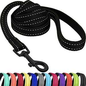 CollarDirect Nylon Dog Leash 5ft for Daily Outdoor Walking Running Training Heavy Duty Reflective Pet Leashes for Large, Medium & Small Dogs (Black, Large)