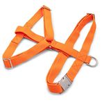 Unreasonable Pets Free Agility Dog Harness, Waterproof Nylon Webbing, Metal Buckle, 2 Leash Clips, Fully Adjustable Pet Harness for Large and Extra Large Sized Dogs, Size L, Bright Orange