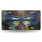 Dragonfly License Plate Cover ,Car Front License Plate Frame Decorative, Aluminum License Plate Tag 6 X 12inch