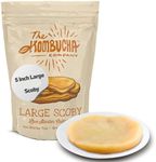 Kombucha SCOBY | Large size | 5-Inc