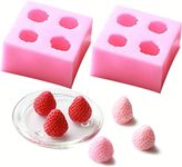 FirstTry Strawberry Shape Chocolate Mould | 3D DIY Fondant Silicone Mold | Baking Tools for Cake Chocolate Candy Ice Jelly Soap | Baking Moulds | for Cake Cupcake Topper Decoration (Large 1 Mold)