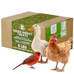 Dried Black Soldier Fly Larvae Chicken Treats for Hens, Duck, Wild Birds, Tortoise, Fish - All Natural High Protein Dried Mealworms Alternative