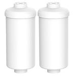 Fluoride/Arsenic Replacement Water Filter Compatible Berkey PF-2 Fluoride Filter (Set of 2)