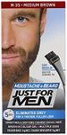 Just For Men Moustache & Beard, Bea