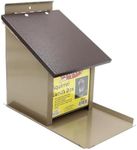 Zenport Squirrel Lunch Box Z38079 Hopper Bird Feeder