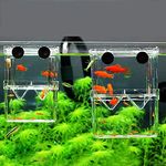 Fish Breeding Tanks