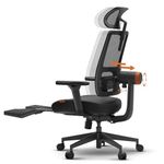 DROGO Ergonomic Office Chair for Work from Home, High Back Computer Chair with Adaptive Lumbar Support, 4D Armrest, Footrest, Recline, Adjustable Height & Headrest, Mesh Chair for Office (Pro Black)