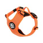 BullyBillows Active Light Dog Harness With Handle | Premium Dog Harness | Padded Lining & Highly Reflective Dog Harness Suitable For All Dog Breeds | Orange Medium