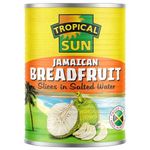 Tropical Sun Breadfruit 540g (Pack of 6)